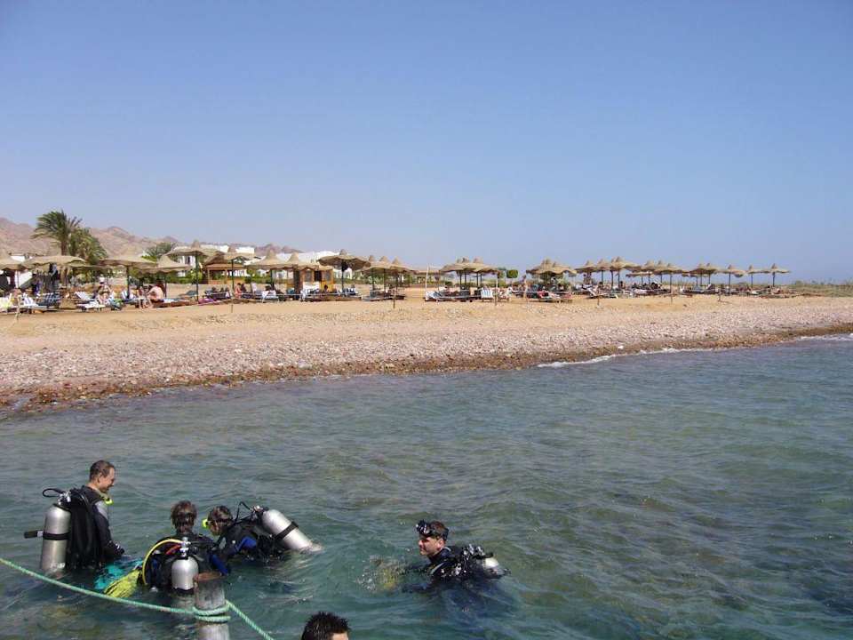 Tauchereinstieg am Steg Happy Life Village