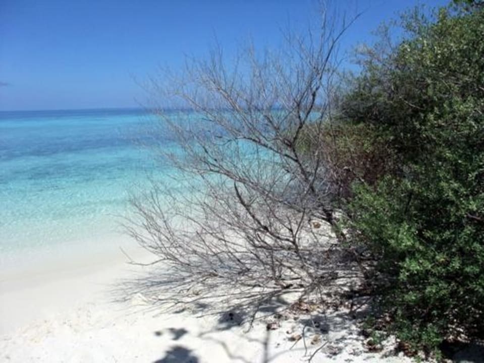 Ausblick nach rechts Eri Maldives