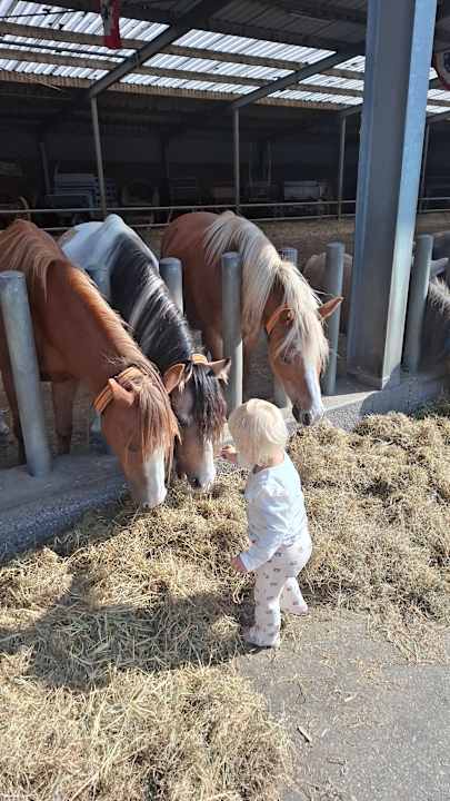 Sport & Freizeit PonyparkCity
