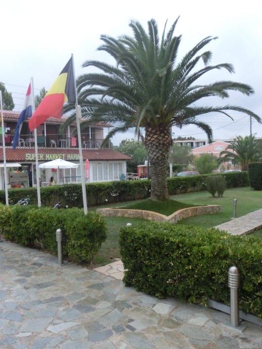 Garten vorm Eingang Hotel Albatros