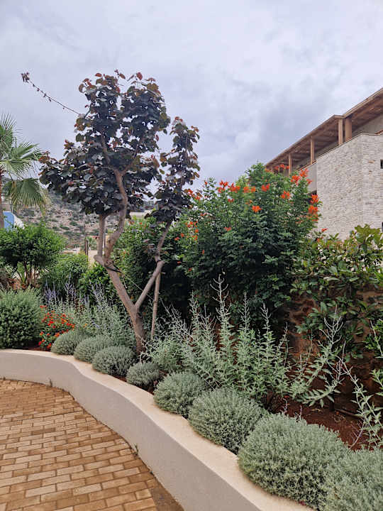 Gartenanlage Cactus Beach