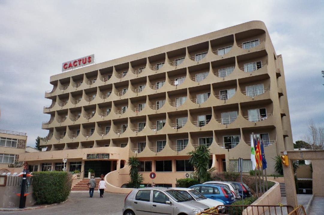 Hotel Cactus Hotel Vibra Palma Cactus