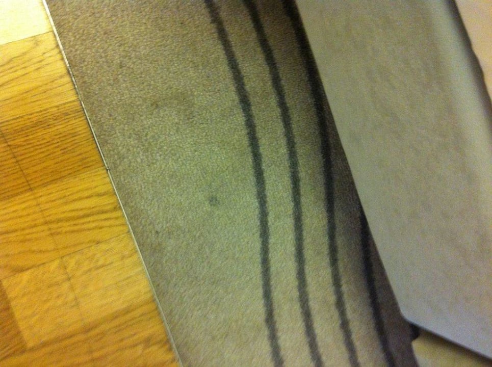 Teppich Four Points by Sheraton Panoramahaus Dornbirn