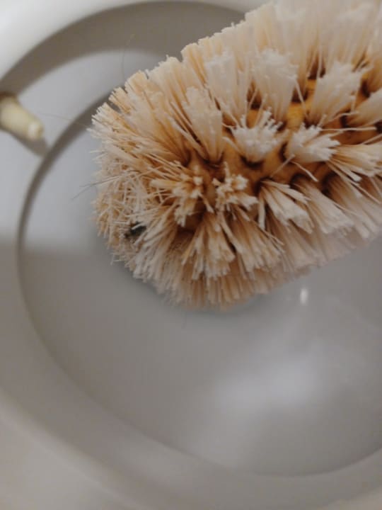 Zimmer Dogan Paradise Beach