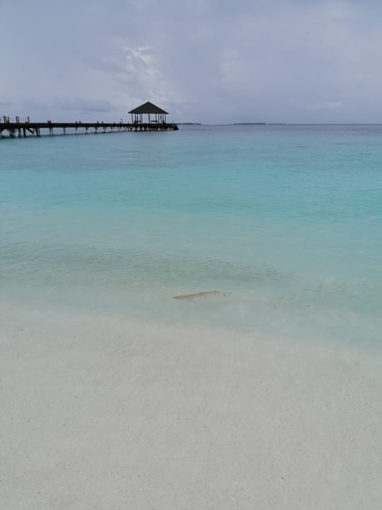 Strand Adaaran Select Meedhupparu Island Resort - Premium All Inclusive