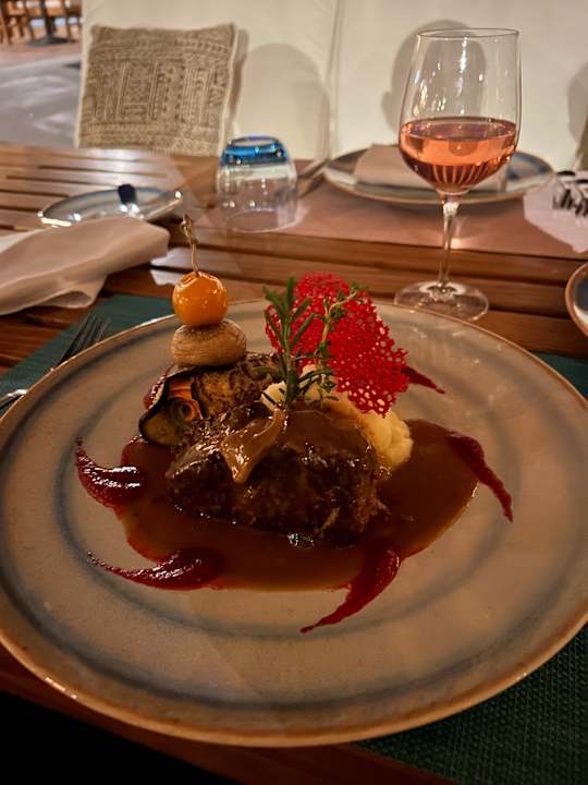 Gastro JAZ Elite Asteria