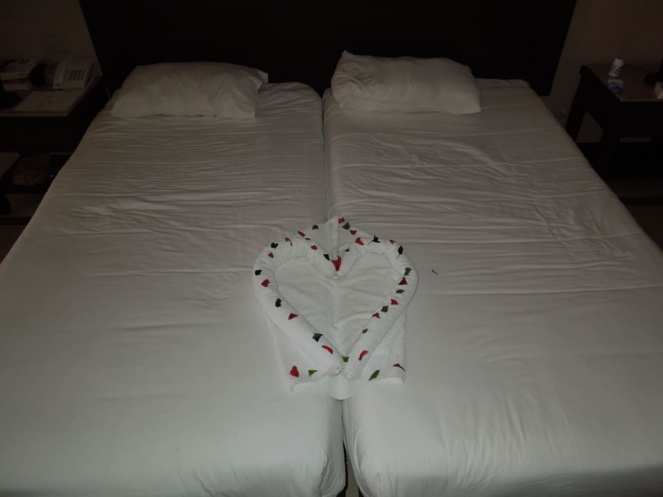 Jeden Tag was neues! Absolut nett!  Jaz Dar EL Madina