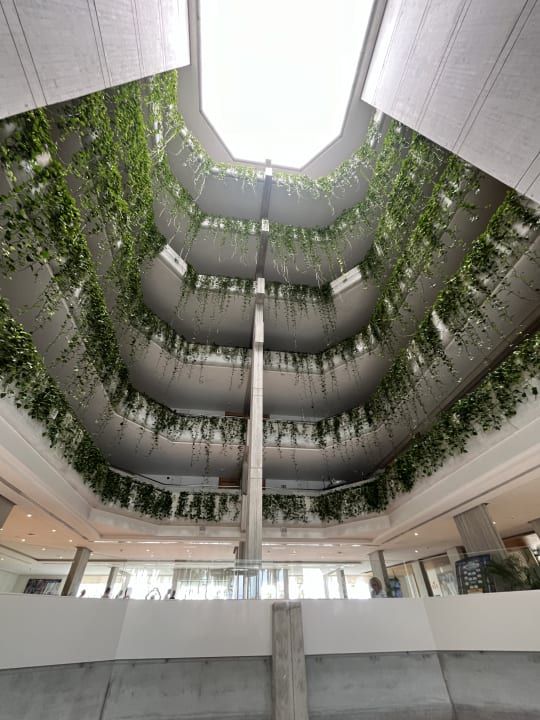 Sonstiges Hipotels Mediterraneo Club