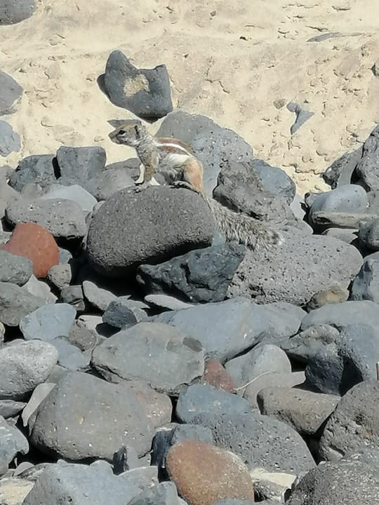 Sonstiges SBH Club Paraiso Playa