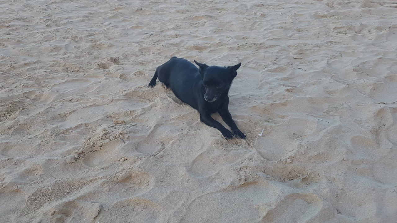 Strand Bahia Principe Grand El Portillo