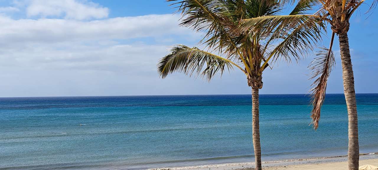 Außenansicht allsun App.-Hotel Barlovento