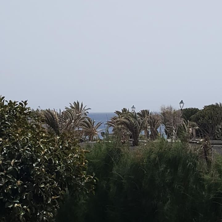 Ausblick allsun App.-Hotel Albatros