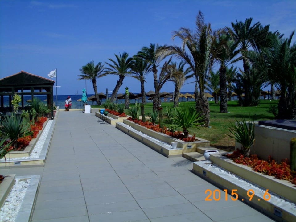 Dojście na plażę Hotel Rosa Beach