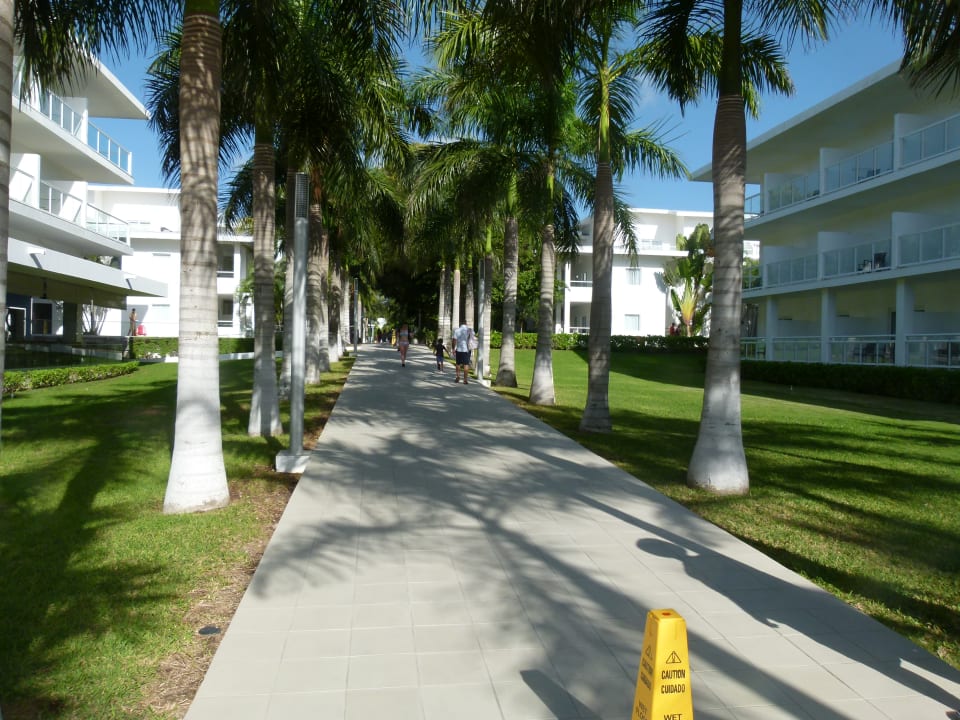 Außenansicht Hotel Riu Playacar