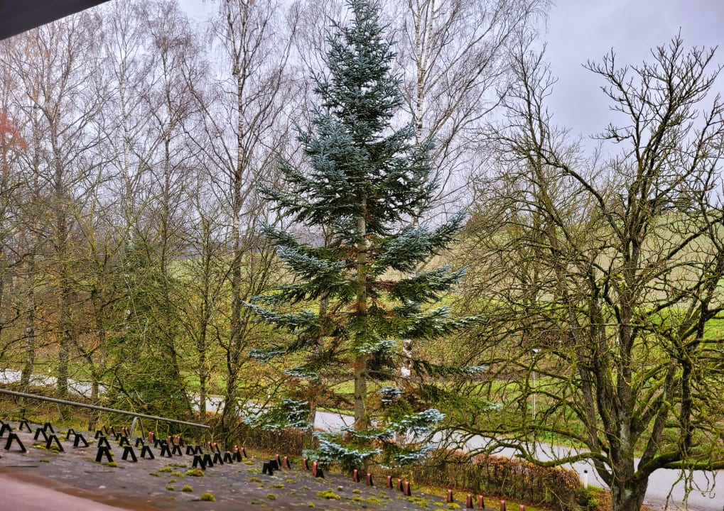 Ausblick Hotel Grünes Türl