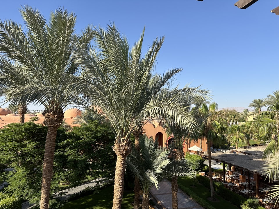 Gartenanlage Jaz Makadi Oasis Resort