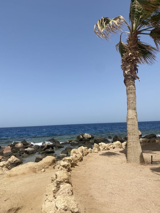 Strand Pickalbatros Citadel Resort