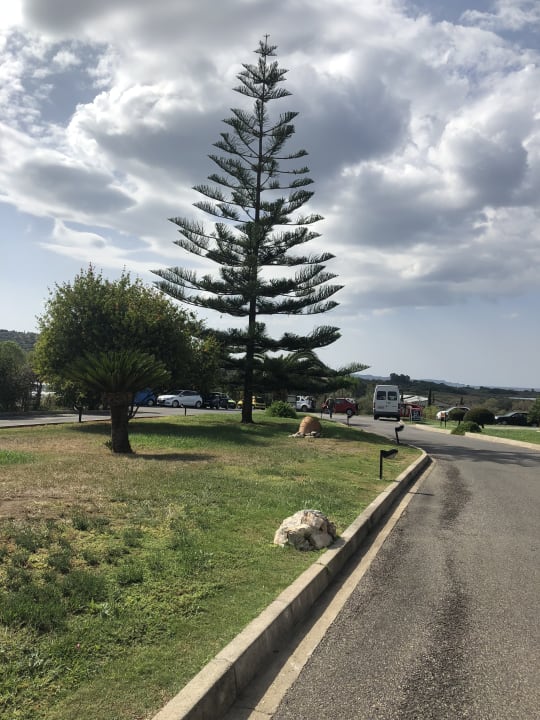 Garten Hotel Mareblue Beach