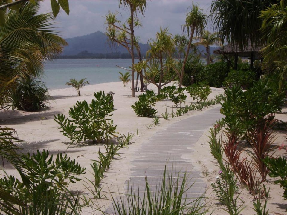 Weg vom Pool zur Bar Koh Mook Sivalai Beach Resort
