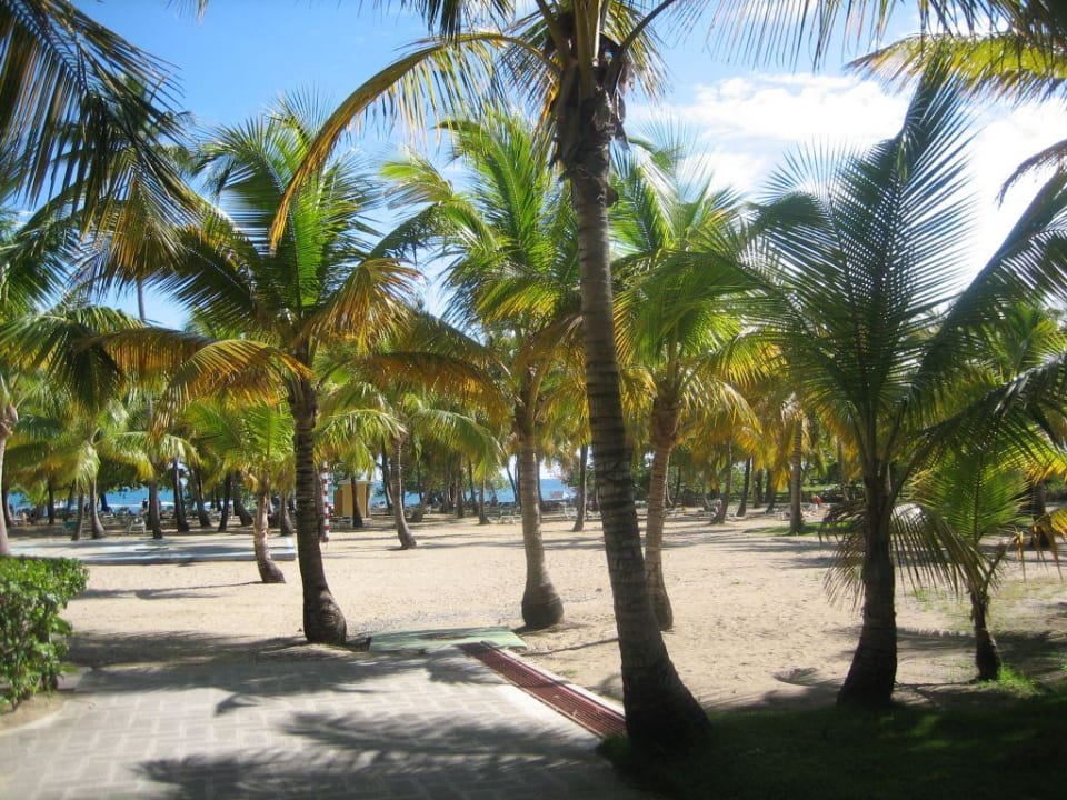 Blick zum Strand Playabachata Hotel