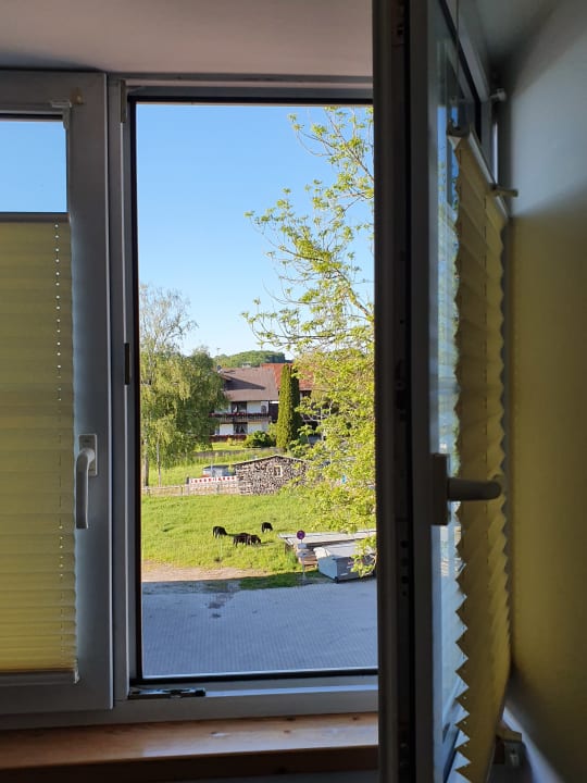 Zimmer Pension Jakl-Hof