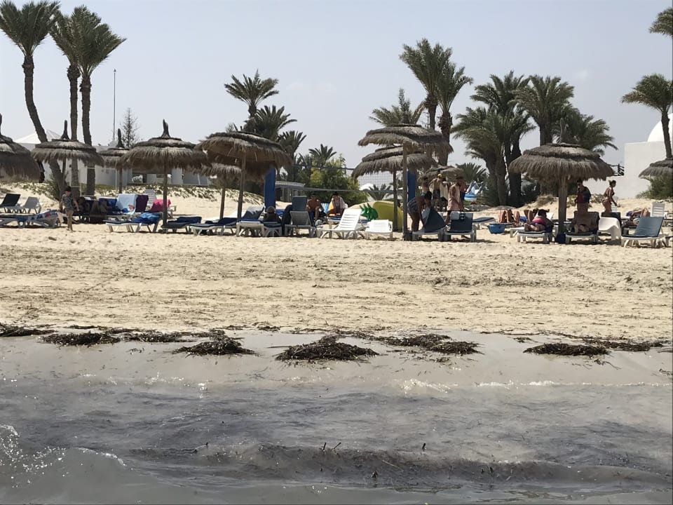Strand Hotel El Mouradi Djerba Menzel