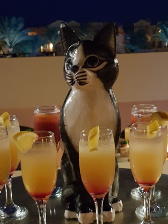 Gastro Steigenberger Coraya Beach - Adults only