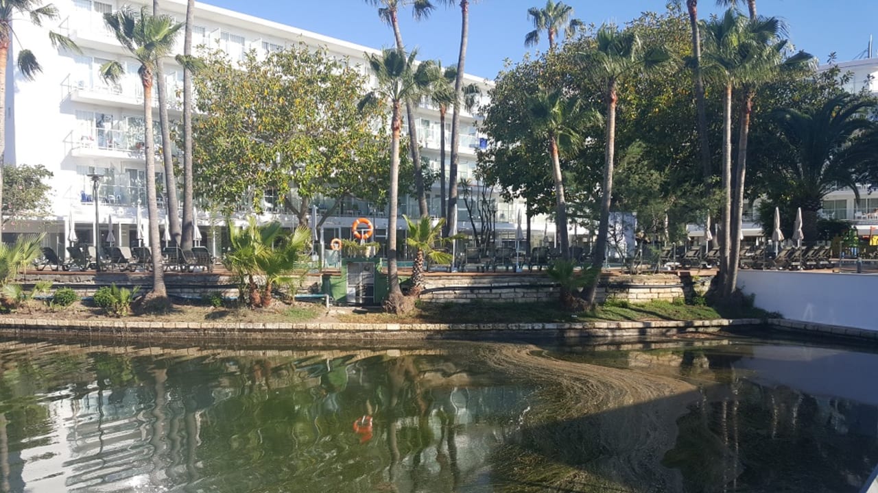 Gartenanlage Alua Boccaccio