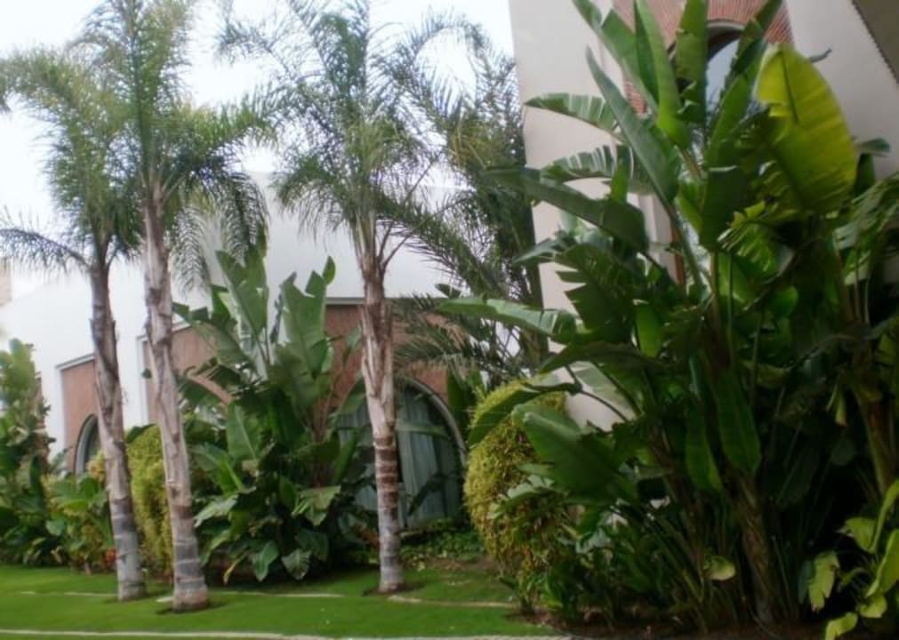 Riu Palace Tikida Agadir Hotel Riu Palace Tikida Agadir