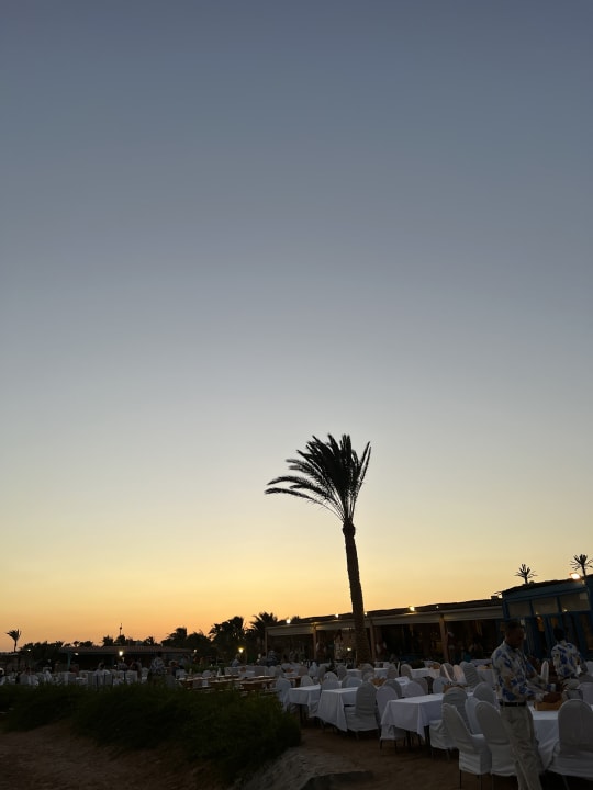 Gastro Club Paradisio El Gouna, Red Sea