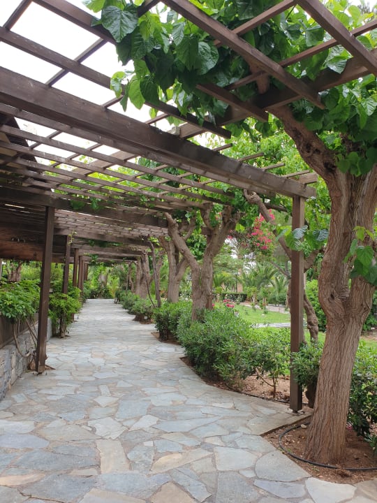 Gartenanlage Apollonia Beach Resort & Spa