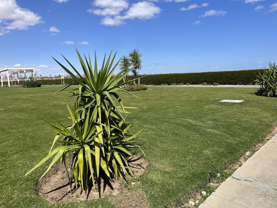 Gartenanlage Jaz Aquaviva