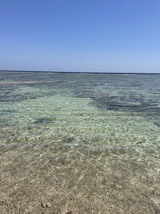 Strand Pickalbatros Sea World Resort - Marsa Alam
