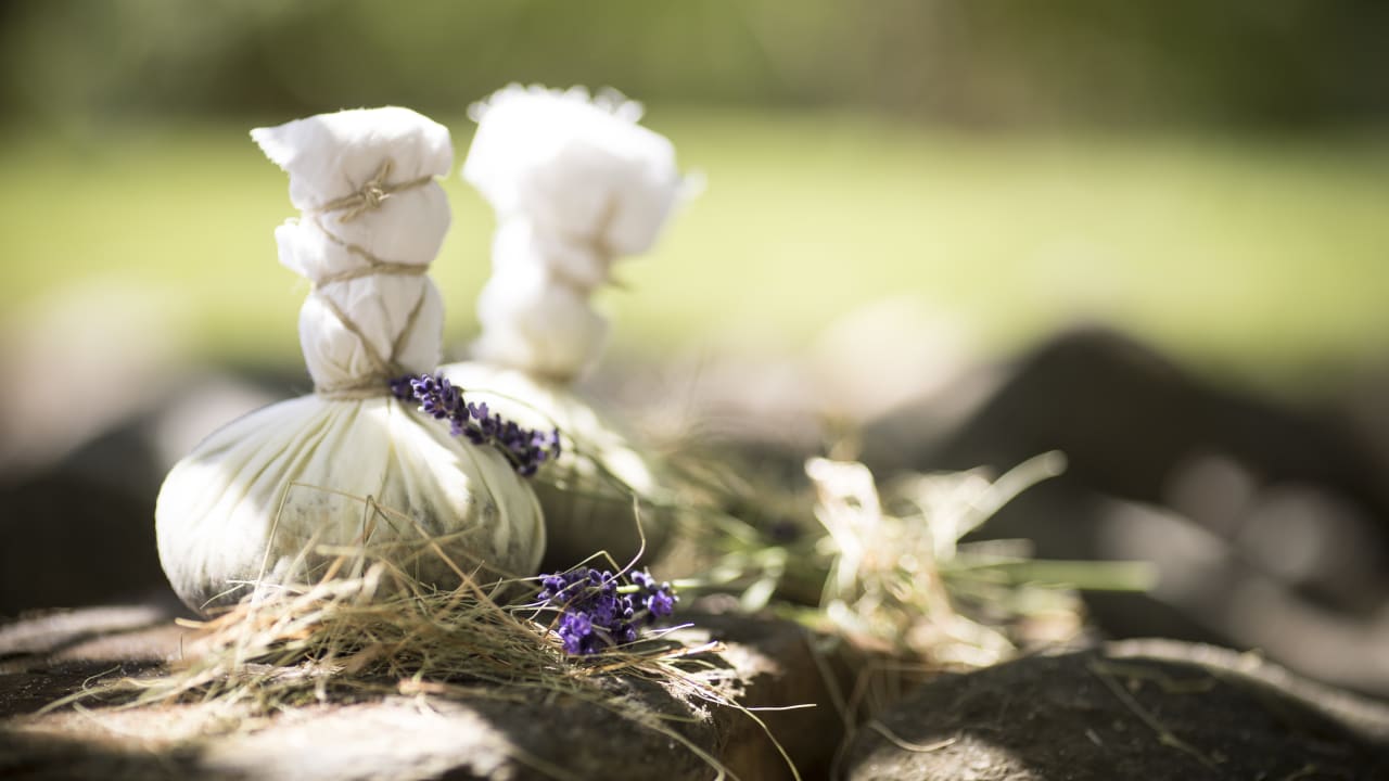 Sonstiges Theiner's Garten Bio Vitalhotel