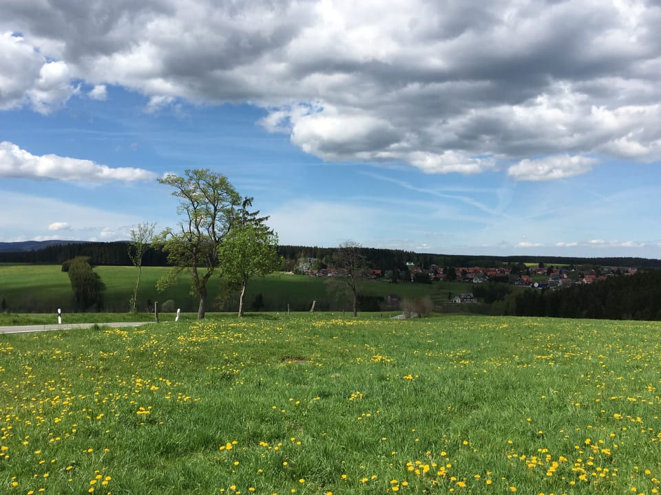 Außenansicht waldhotel AUSZEIT