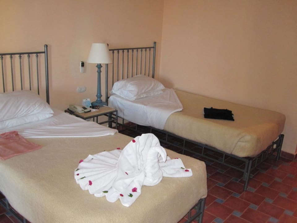 Lustige Motive vom Zimmerboy Jaz Makadi Gardens - TUI BLUE Makadi Gardens - Adults Friendly 16 Years Plus