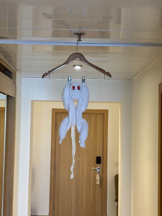 Zimmer JAZ Elite Asteria