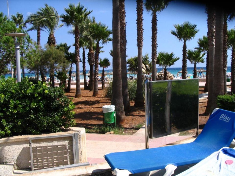 Unmittelbarer Strand Hipotels Mediterraneo Club