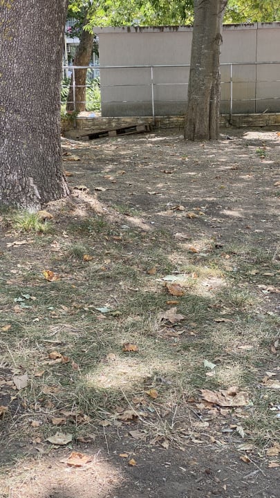 Gartenanlage Ralitsa Aqua Club