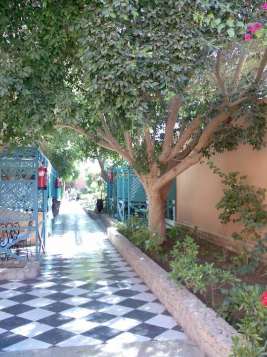 Gartenweg Giftun Azur Resort