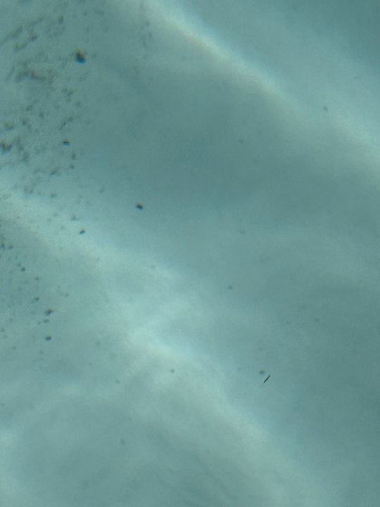 Pool Bull Costa Canaria & Spa - Adults only