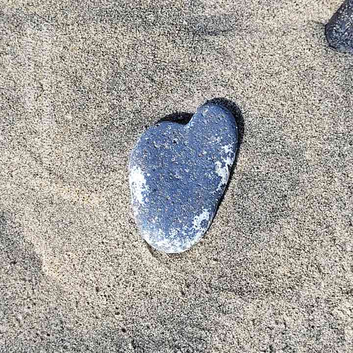 Strand allsun App.-Hotel Barlovento