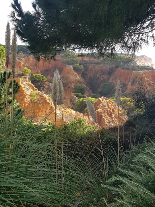 Gartenanlage PortoBay Falésia