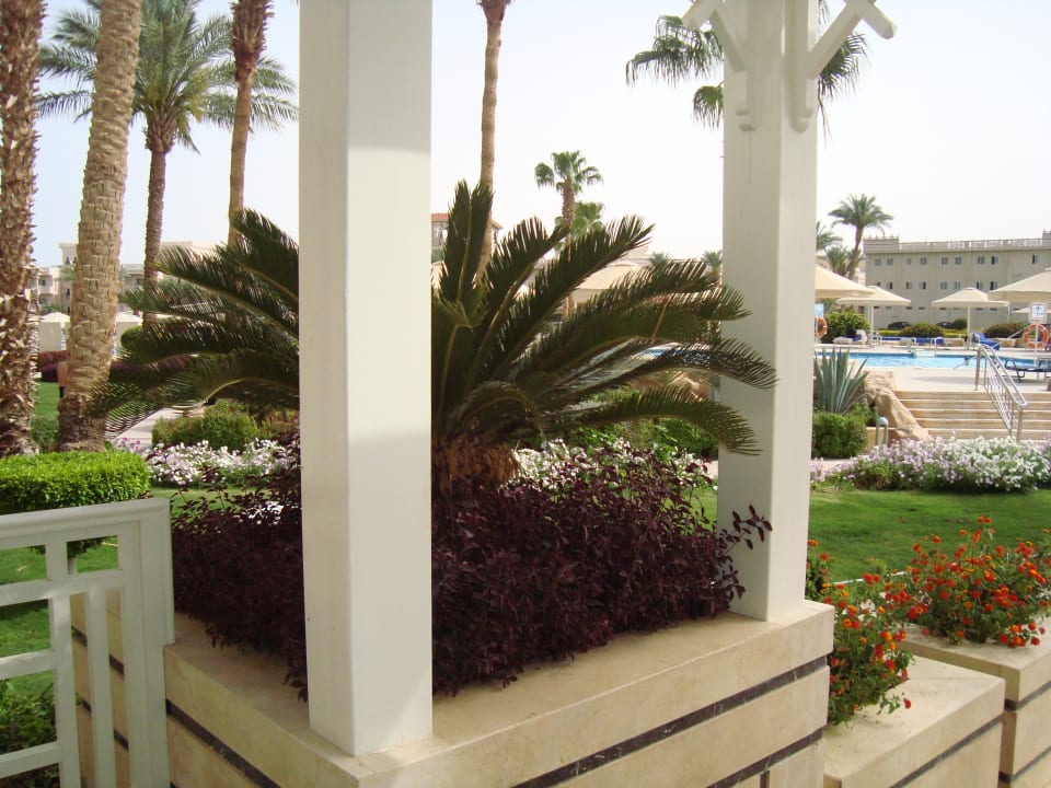 Gartenanlage Beach Albatros Resort