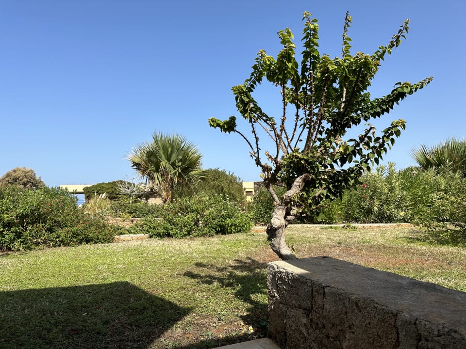 Ausblick Kernos Beach Hotel & Bungalows