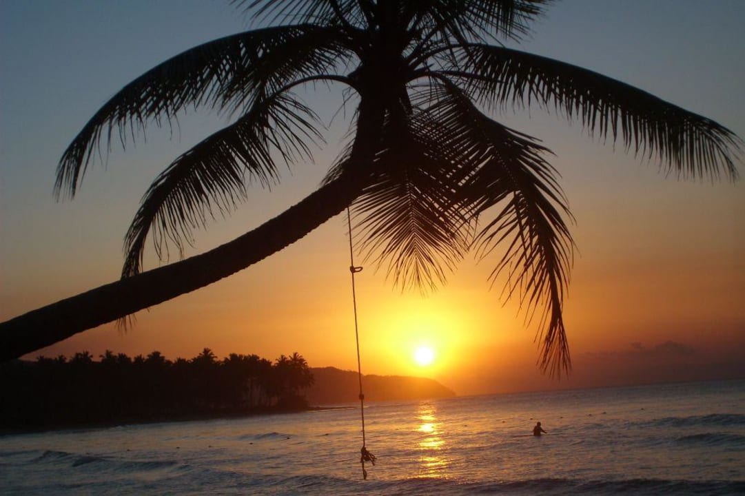 Sonnenuntergang Viva V Samana by Wyndham – Adults Only