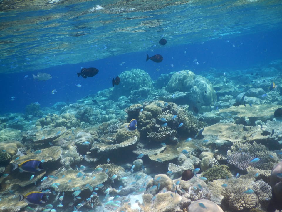 März 2016 Fihalhohi Maldives