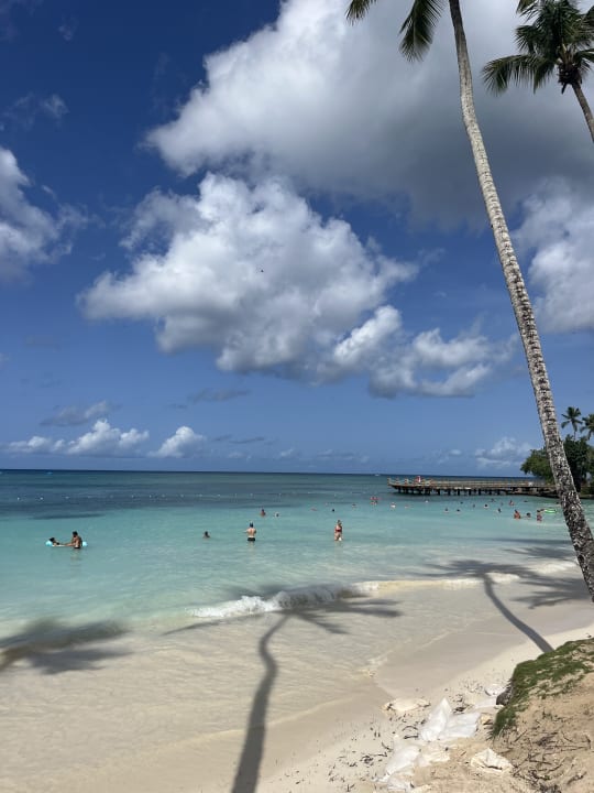 Strand Secrets La Romana Resort & Spa - Adult Only