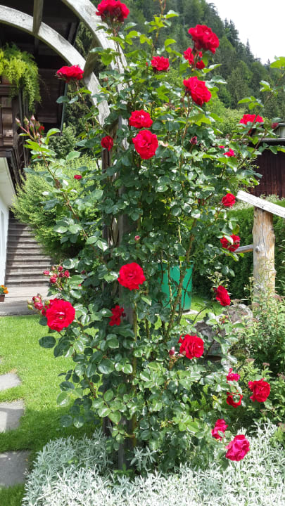 Gartenanlage Haus Alpenblick