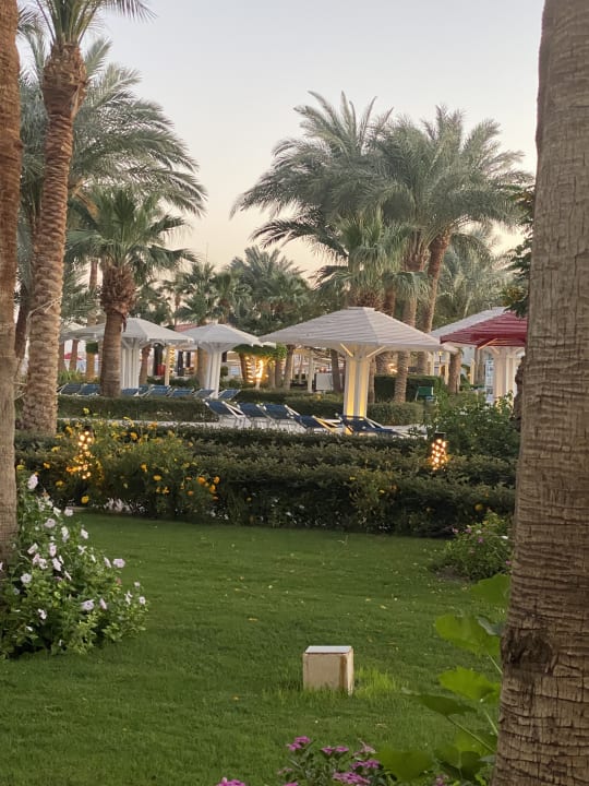 Gartenanlage Amarina Abu Soma Resort & Aquapark